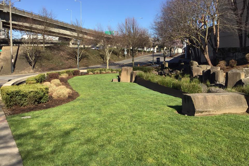 Finished commercial sod and landscape near an interstate
