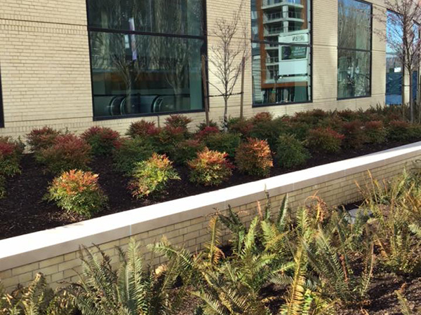 public works building with finished planting beds