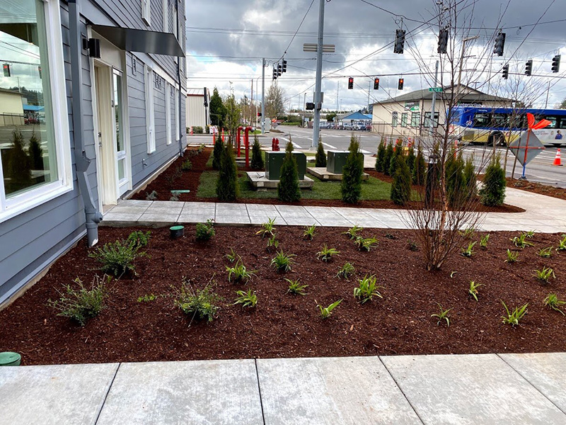 commercial landscaping Archibald apartments